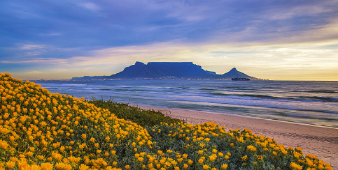 “山中牛姆林 快活似神仙”：晋江牛姆林